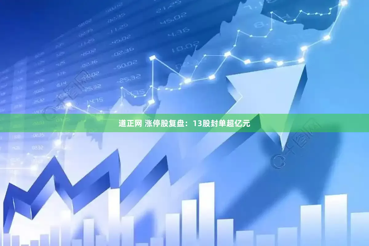 道正网 涨停股复盘：13股封单超亿元