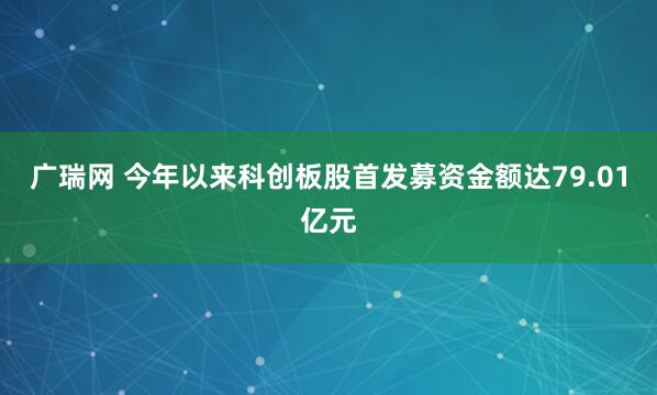 广瑞网 今年以来科创板股首发募资金额达79.01亿元