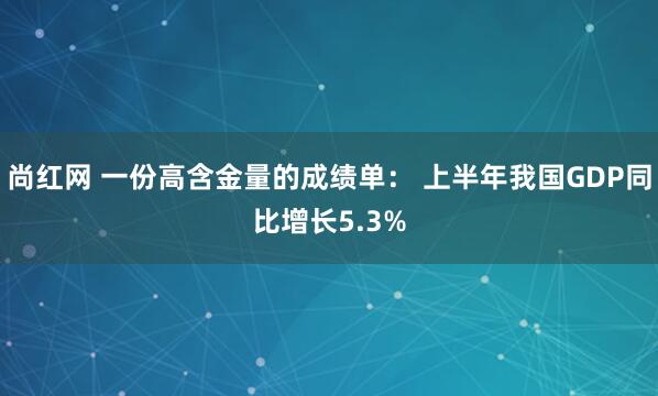 尚红网 一份高含金量的成绩单： 上半年我国GDP同比增长5.3%