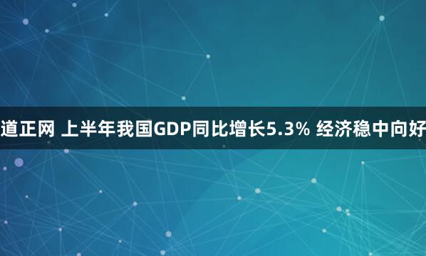 道正网 上半年我国GDP同比增长5.3% 经济稳中向好