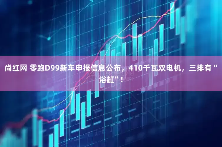 尚红网 零跑D99新车申报信息公布，410千瓦双电机，三排有“浴缸”!